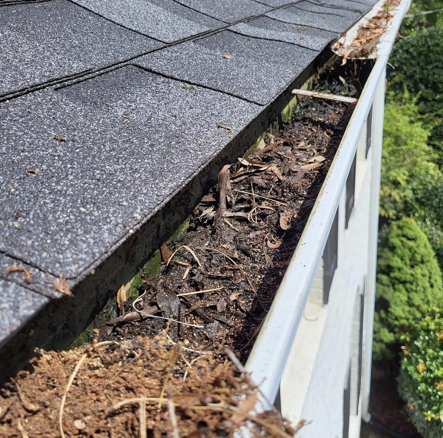 Gutter debris removal included in a recurring Care Plan